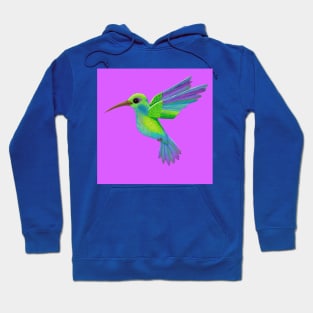 Pretty Hummingbird Hoodie